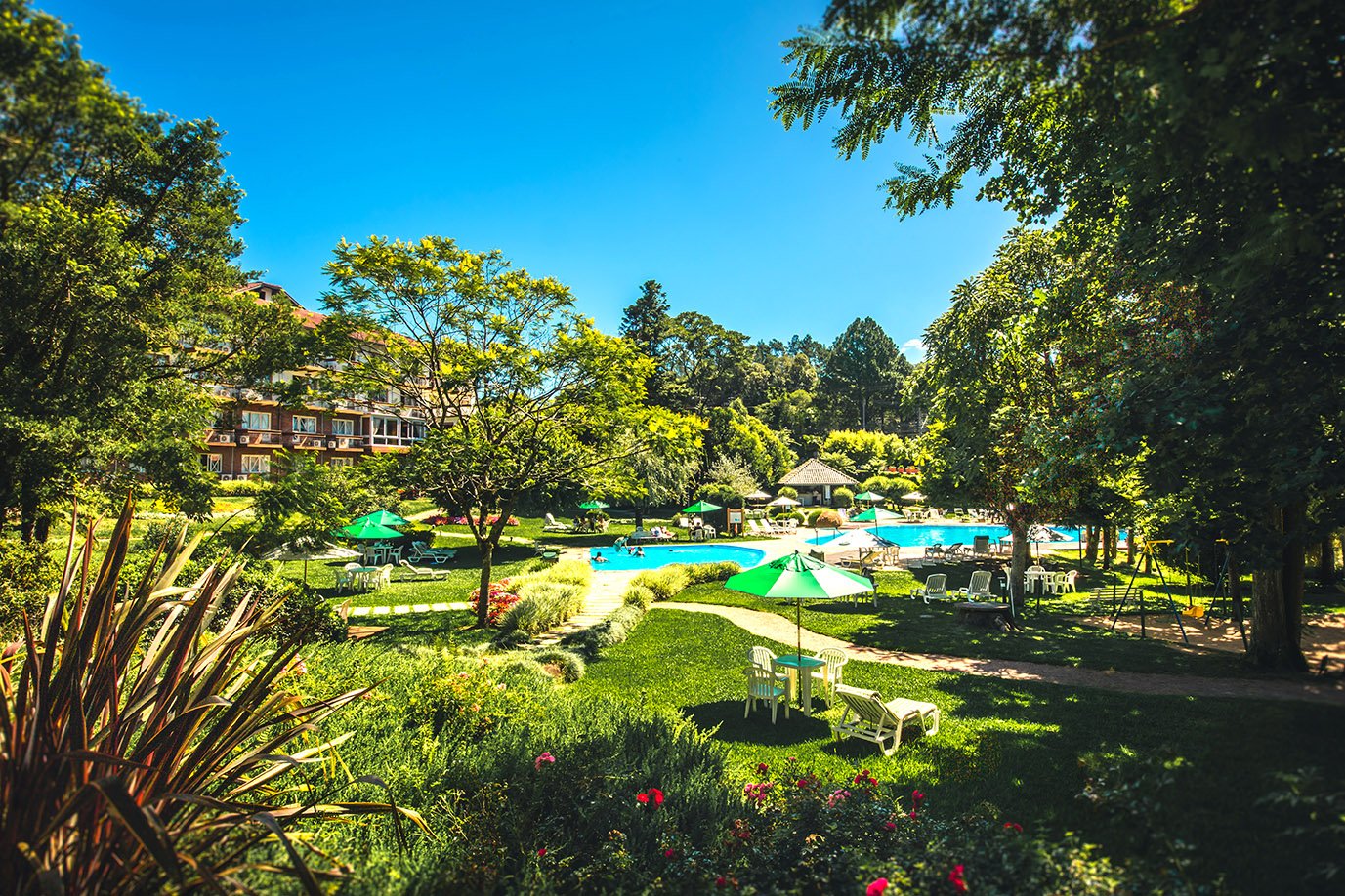 © sergioazevedo2020