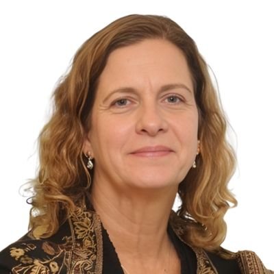 Denise Nogueira Gregory - Senior Fellow do CEBRI (Centro Brasileiro de Relações Internacionais)